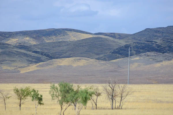 Woodless, zavallı nemi ve genellikle düz ile kuru iklim bölgesinde otsu bitki örtüsü bozkır. çayır, veld, veldt