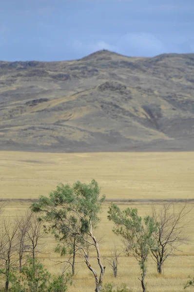 Sonbahar manzara, bozkır Dağları ile. çayır, veld, veldt. otlak, açık, ekilmemiş ülke veya otlak geniş bir açık alan