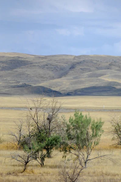 Paisagem Outono Estepe Com Montanhas Pradaria Veld Veldt Uma Grande — Fotografia de Stock