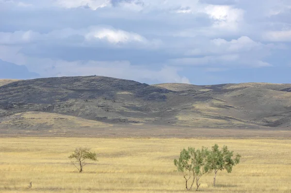 Woodless, zavallı nemi ve genellikle düz ile kuru iklim bölgesinde otsu bitki örtüsü bozkır. çayır, veld, veldt