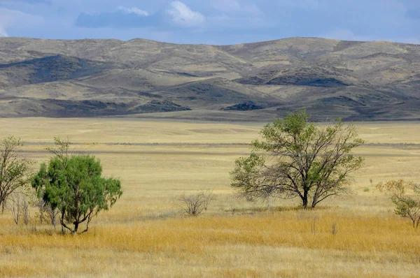 Paesaggio Autunnale Steppa Con Montagne Prairie Veld Veldt Ampia Superficie — Foto Stock