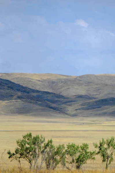 Paisagem Outono Estepe Com Montanhas Pradaria Veld Veldt Uma Grande — Fotografia de Stock