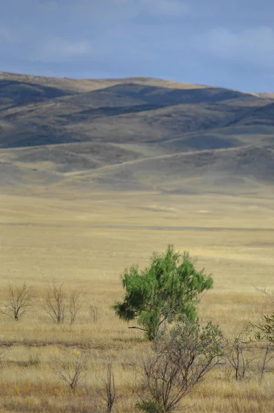 Paisagem Outono Estepe Com Montanhas Pradaria Veld Veldt Uma Grande — Fotografia de Stock