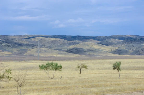 Woodless, zavallı nemi ve genellikle düz ile kuru iklim bölgesinde otsu bitki örtüsü bozkır. çayır, veld, veldt