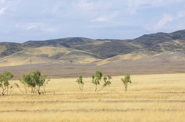 Woodless, zavallı nemi ve genellikle düz ile kuru iklim bölgesinde otsu bitki örtüsü bozkır. çayır, veld, veldt