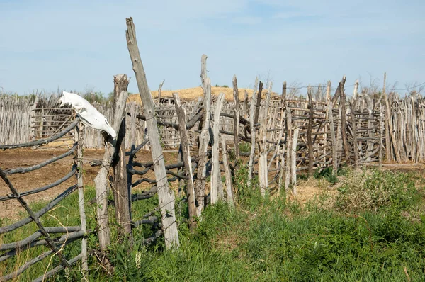 çöl, vahşi, kumlar, ıssızlık, atık, sahara. Hayvancılık, özellikle sığır veya ata, bir çiftlik veya ahır için bir kalem. su bulunduğu bir çölde bereketli bir nokta.