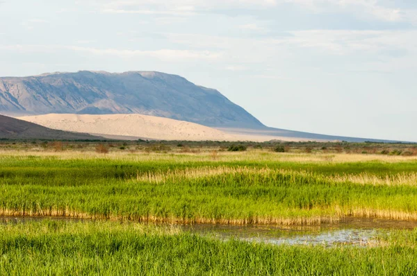  Bozkır yaz. Turgai kapısı. Turgai Kaydet. Milli Parkı 