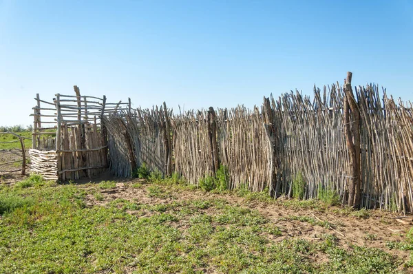 çöl, vahşi, kumlar, ıssızlık, atık, sahara. Hayvancılık, özellikle sığır veya ata, bir çiftlik veya ahır için bir kalem. su bulunduğu bir çölde bereketli bir nokta.