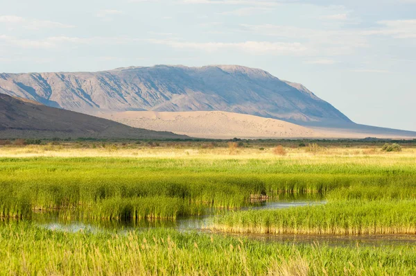  Bozkır yaz. Turgai kapısı. Turgai Kaydet. Milli Parkı 