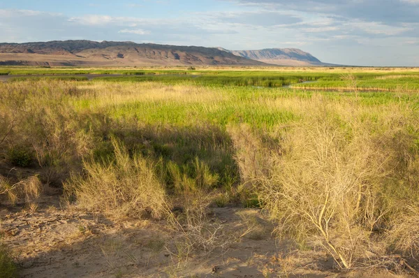  Bozkır yaz. Turgai kapısı. Turgai Kaydet. Milli Parkı 