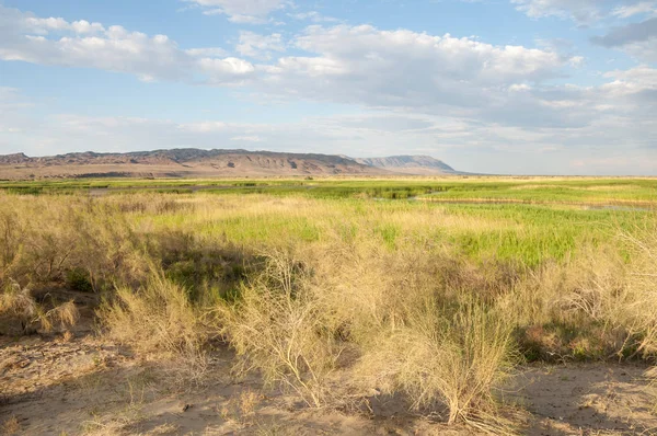  Bozkır yaz. Turgai kapısı. Turgai Kaydet. Milli Parkı 