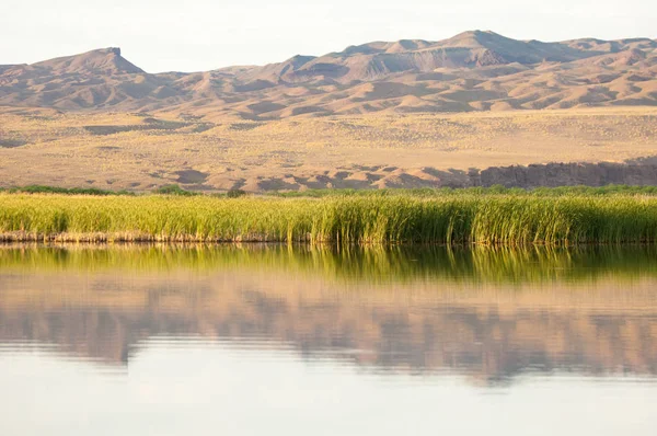  Bozkır yaz. Turgai kapısı. Turgai Kaydet. Milli Parkı 