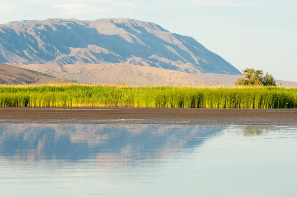 草原夏季 图尔盖门 图尔盖保存 国家公园 阿尔金埃姆尔 哈萨克斯坦 伊犁河 — 图库照片