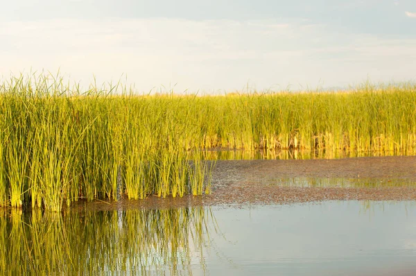  Bozkır yaz. Turgai kapısı. Turgai Kaydet. Milli Parkı 