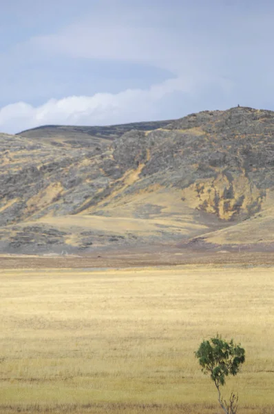 Woodless, zavallı nemi ve genellikle düz ile kuru iklim bölgesinde otsu bitki örtüsü bozkır. çayır, veld, veldt