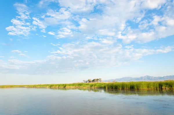  Bozkır yaz. Turgai kapısı. Turgai Kaydet. Milli Parkı 