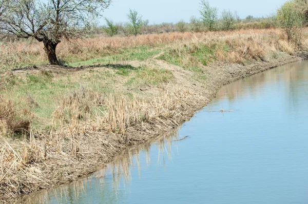 Bozkır nehir sazlık yaz. nehir görünümünde kez izlendi. küçük mavi nehir kıyısında güneşli bir gün