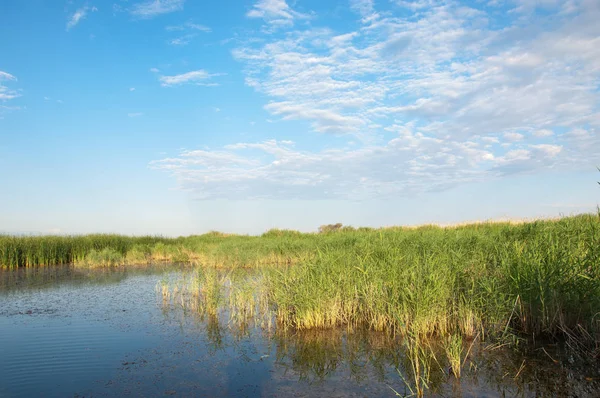  Bozkır yaz. Turgai kapısı. Turgai Kaydet. Milli Parkı 