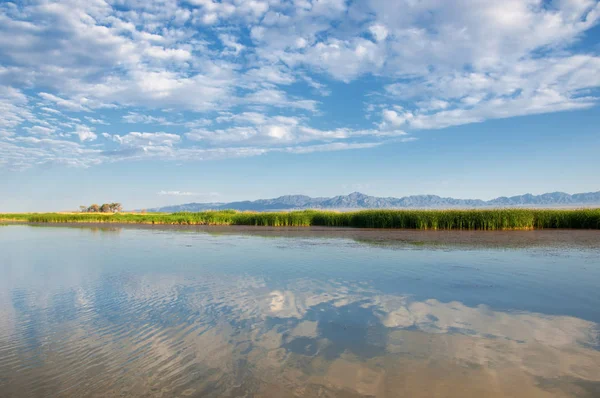  Bozkır yaz. Turgai kapısı. Turgai Kaydet. Milli Parkı 