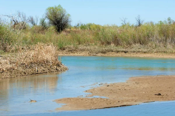 Bozkır nehir sazlık yaz. nehir görünümünde kez izlendi. küçük mavi nehir kıyısında güneşli bir gün
