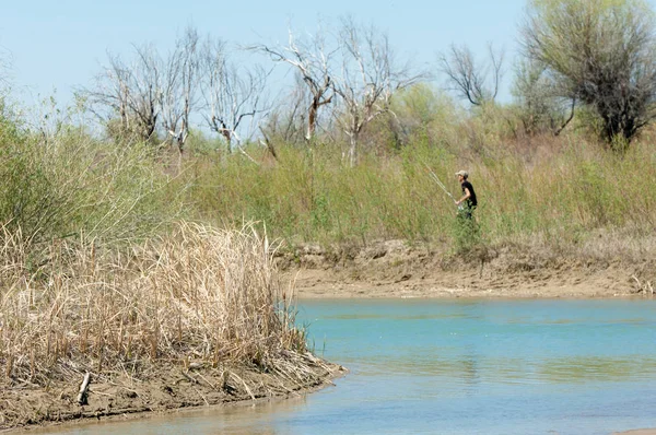Bozkır nehir sazlık yaz. nehir görünümünde kez izlendi. küçük mavi nehir kıyısında güneşli bir gün