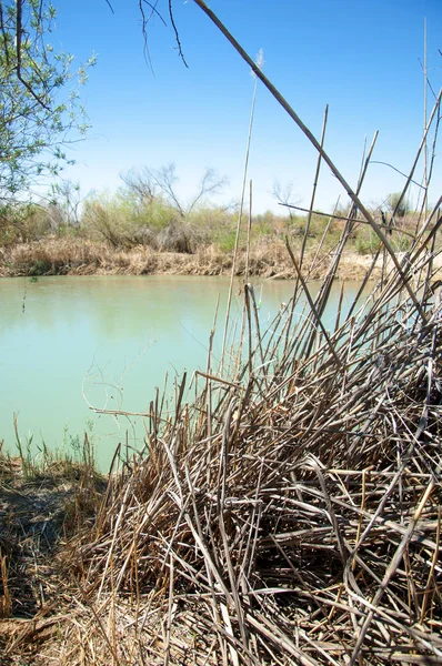 Bozkır nehir sazlık yaz. nehir görünümünde kez izlendi. küçük mavi nehir kıyısında güneşli bir gün
