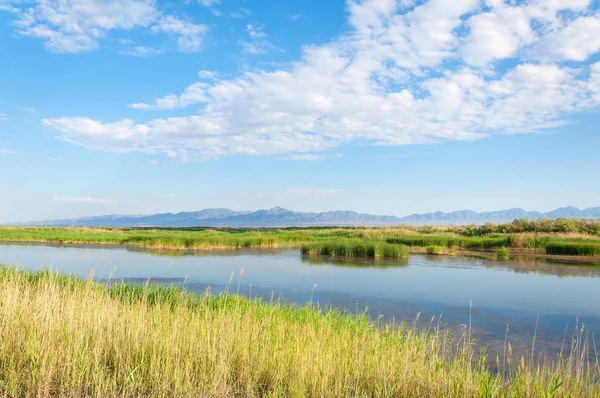  Bozkır yaz. Turgai kapısı. Turgai Kaydet. Milli Parkı 