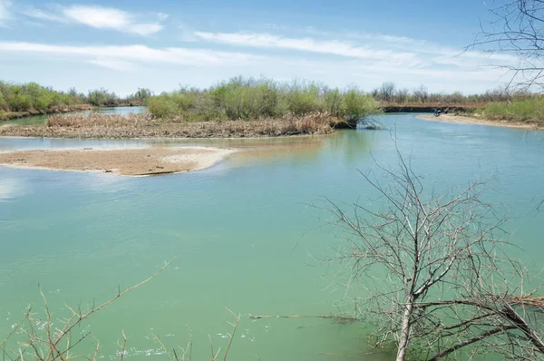 Bozkır nehir sazlık yaz. nehir görünümünde kez izlendi. küçük mavi nehir kıyısında güneşli bir gün