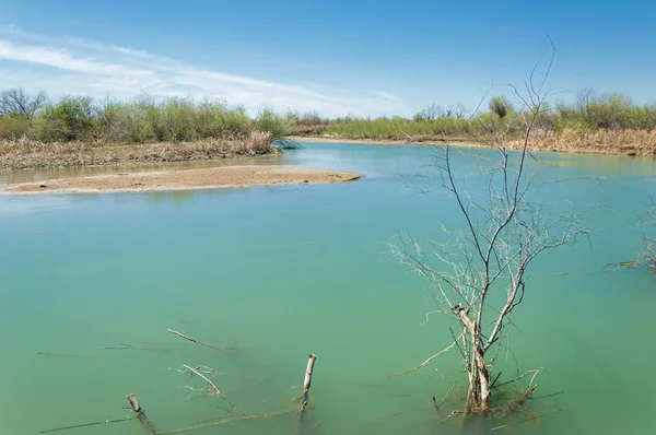 Bozkır nehir sazlık yaz. nehir görünümünde kez izlendi. küçük mavi nehir kıyısında güneşli bir gün