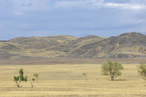 Steppe Est Sans Bois Pauvre Humidité Généralement Plate Avec Une — Photo