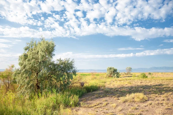  Bozkır yaz. Turgai kapısı. Turgai Kaydet. Milli Parkı 