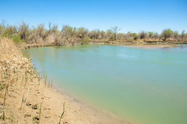 Bozkır nehir sazlık yaz. nehir görünümünde kez izlendi. küçük mavi nehir kıyısında güneşli bir gün