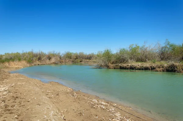 Bozkır nehir sazlık yaz. nehir görünümünde kez izlendi. küçük mavi nehir kıyısında güneşli bir gün