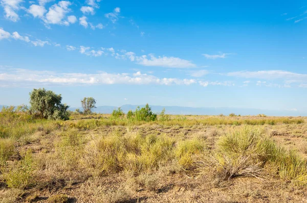  Bozkır yaz. Turgai kapısı. Turgai Kaydet. Milli Parkı 