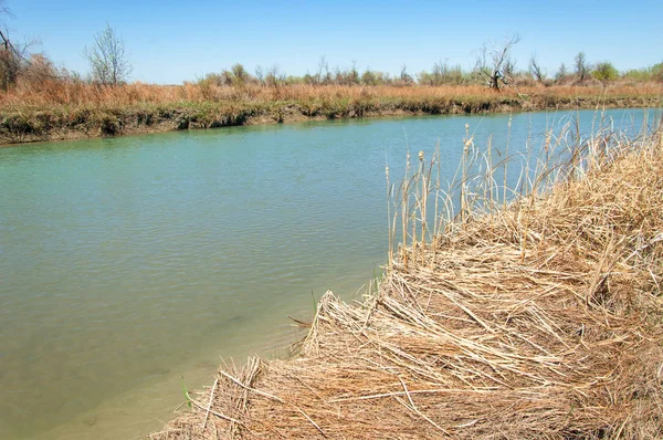 Bozkır nehir sazlık yaz. nehir görünümünde kez izlendi. küçük mavi nehir kıyısında güneşli bir gün