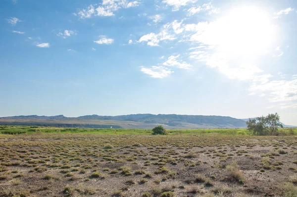  Bozkır yaz. Turgai kapısı. Turgai Kaydet. Milli Parkı 