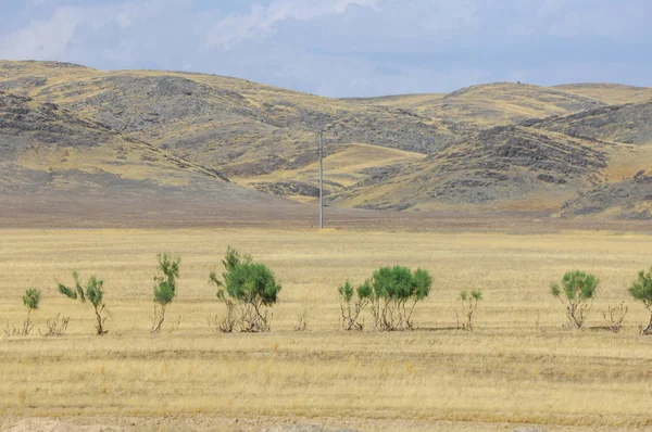 Woodless, zavallı nemi ve genellikle düz ile kuru iklim bölgesinde otsu bitki örtüsü bozkır. çayır, veld, veldt