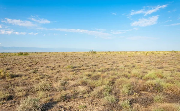  Bozkır yaz. Turgai kapısı. Turgai Kaydet. Milli Parkı 