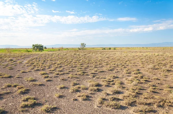  Bozkır yaz. Turgai kapısı. Turgai Kaydet. Milli Parkı 