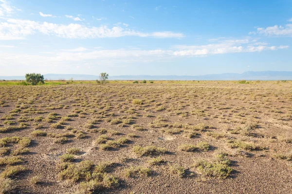  Bozkır yaz. Turgai kapısı. Turgai Kaydet. Milli Parkı 