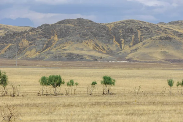 Steppe Est Sans Bois Pauvre Humidité Généralement Plate Avec Une — Photo