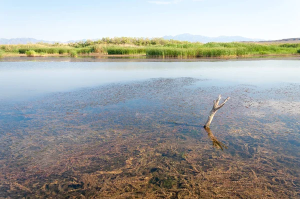  Bozkır yaz. Turgai kapısı. Turgai Kaydet. Milli Parkı 