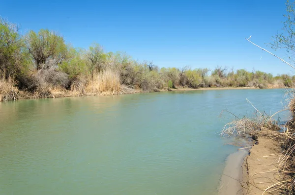 Bozkır nehir sazlık yaz. nehir görünümünde kez izlendi. küçük mavi nehir kıyısında güneşli bir gün