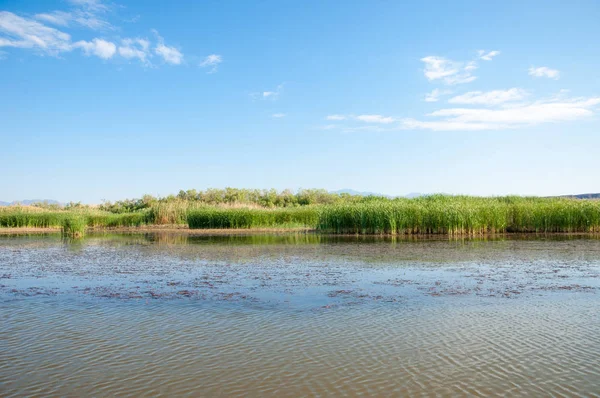  Bozkır yaz. Turgai kapısı. Turgai Kaydet. Milli Parkı 