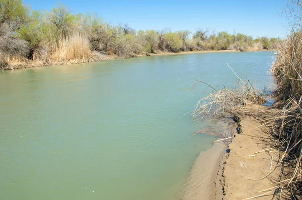 Río Steppe Caña Verano Vistas Vista Del Río Pequeño Río — Foto de Stock