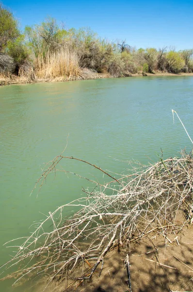 Bozkır nehir sazlık yaz. nehir görünümünde kez izlendi. küçük mavi nehir kıyısında güneşli bir gün