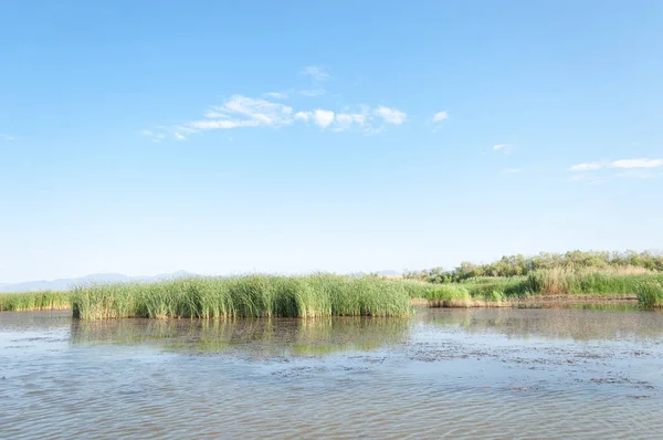  Bozkır yaz. Turgai kapısı. Turgai Kaydet. Milli Parkı 