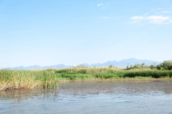  Bozkır yaz. Turgai kapısı. Turgai Kaydet. Milli Parkı 