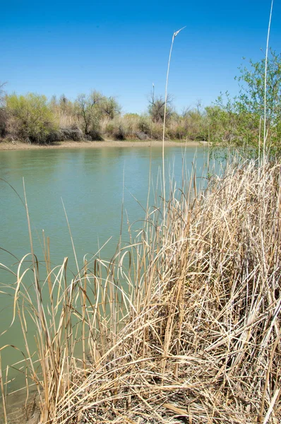 Bozkır nehir sazlık yaz. nehir görünümünde kez izlendi. küçük mavi nehir kıyısında güneşli bir gün