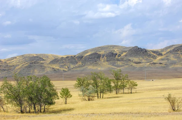 Woodless, zavallı nemi ve genellikle düz ile kuru iklim bölgesinde otsu bitki örtüsü bozkır. çayır, veld, veldt